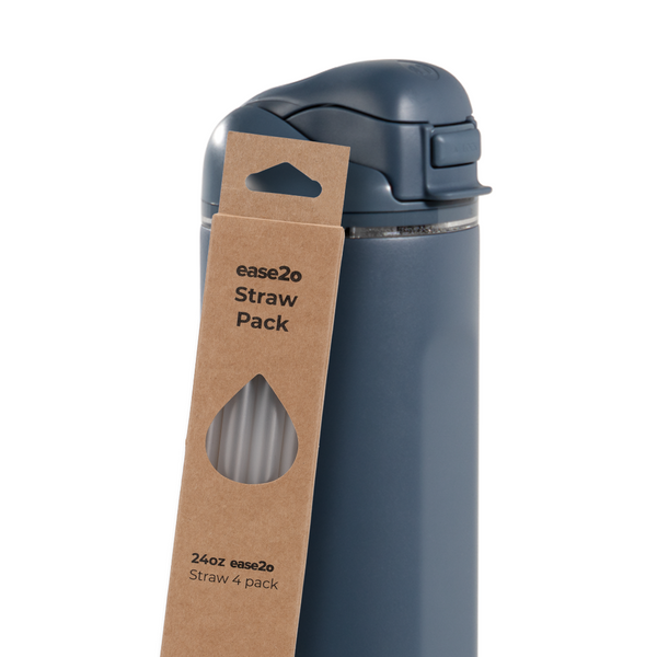 Ease2o Straws 4 Pack 24oz MR6X