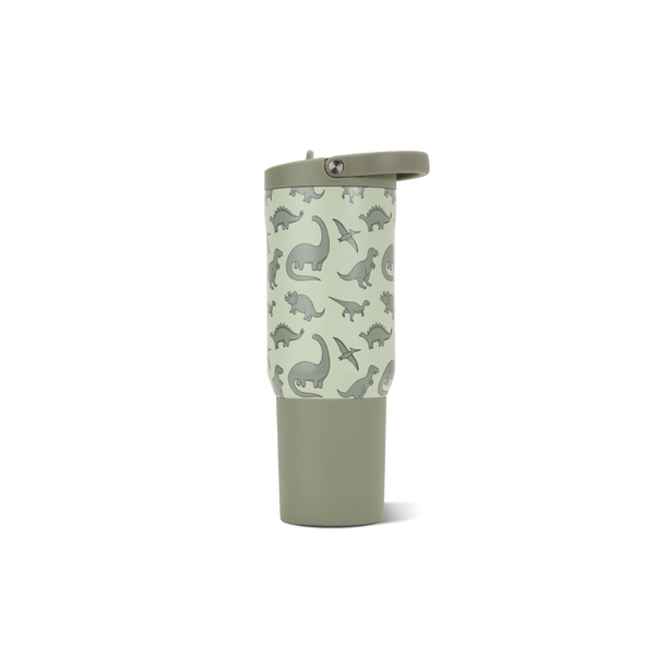 Dinosaur AVGS